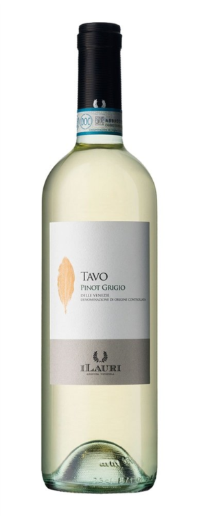 Talamonti Tavo Pinot Grigio 2021 0